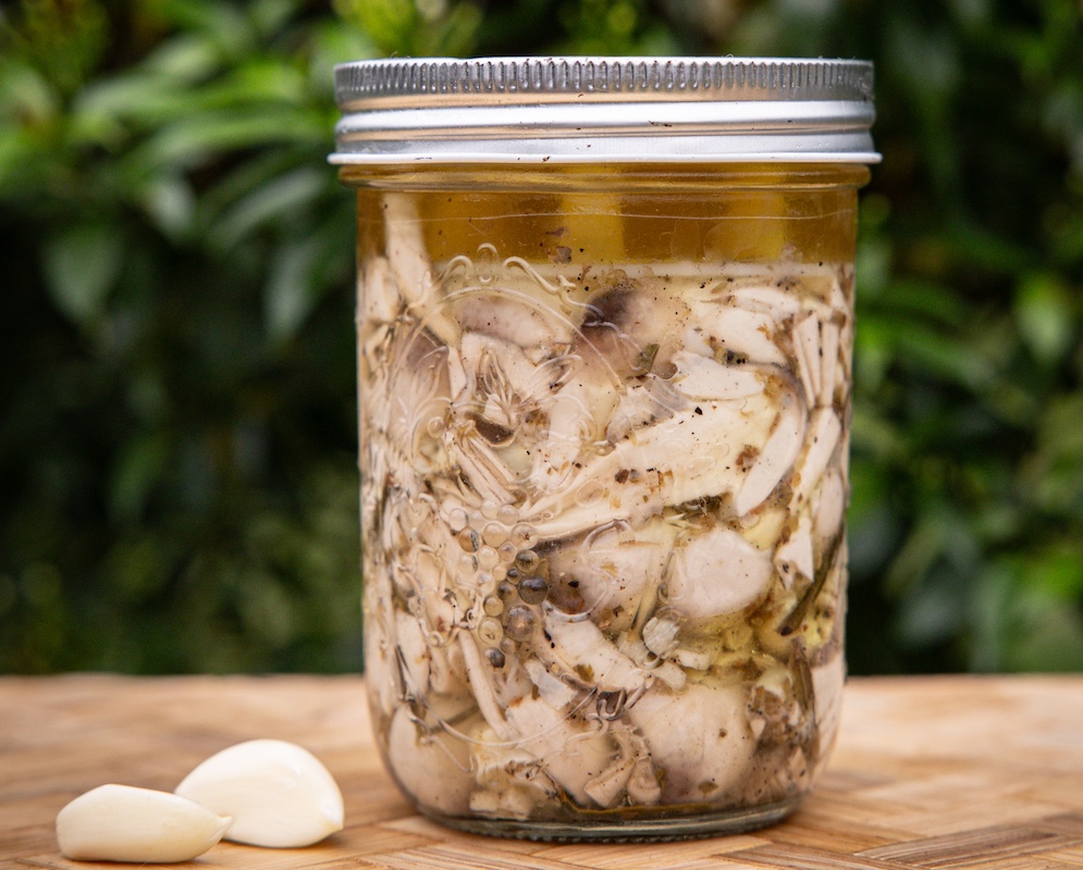 Fresh organic mushrooms harvested from permaculture garden