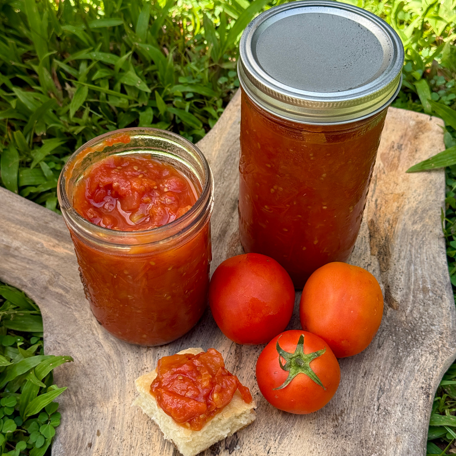 Jar of handmade organic tomato sauce